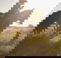 Balonne Cutting Horse Futurity - Goulburn Accommodation