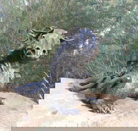 Bathurst Arts Trail - Goulburn Accommodation