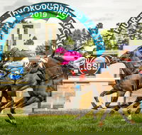 Bathurst Cup - Goulburn Accommodation