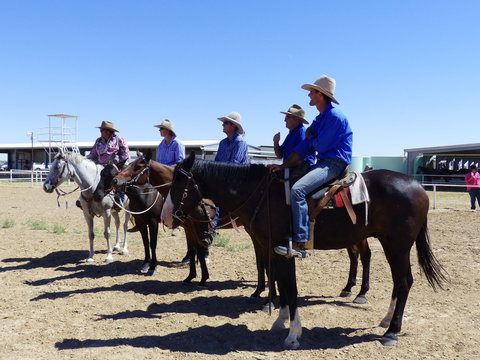 Betoota Horse And Motorbike Gymkhana - Goulburn Accommodation 1