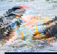Cave Hill Creek Summer Camp - Goulburn Accommodation