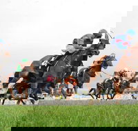 Christmas Cup Race Day - Goulburn Accommodation