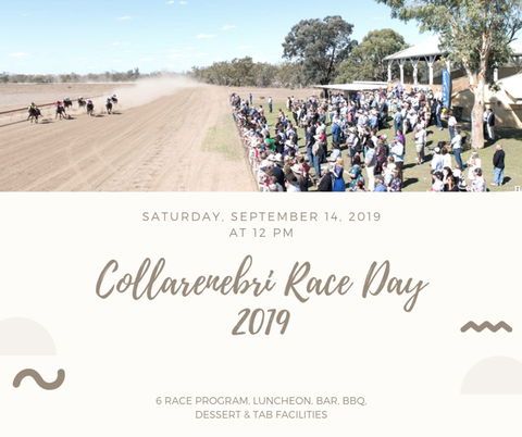 Collarenebri Races - Goulburn Accommodation 0
