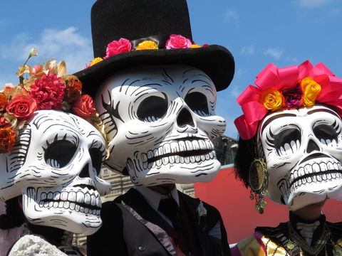 Día De Los Muertos Fiesta - Goulburn Accommodation 0