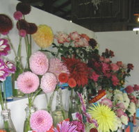 Dalgety Show - Goulburn Accommodation