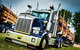 Dane Ballinger Memorial Truck Show - thumb 2