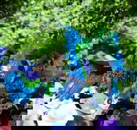 Family Fun Carnivale - Goulburn Accommodation