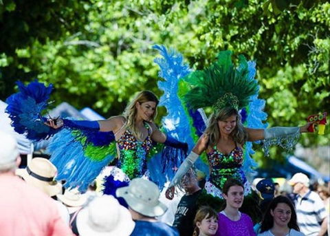 Family Fun Carnivale - Goulburn Accommodation 0