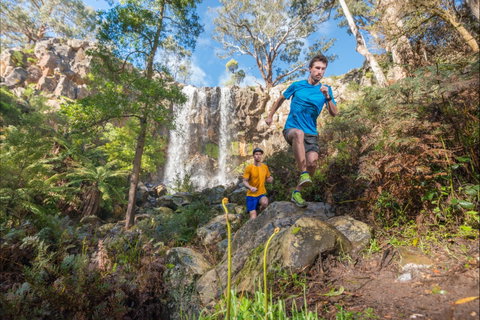 Goldrush Trail Runs - Goulburn Accommodation 1