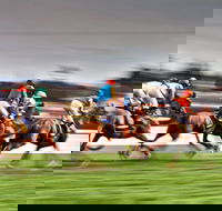 Grafton July Racing Carnival - Goulburn Accommodation