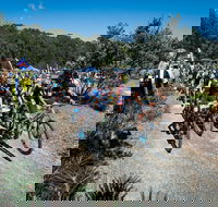 JetBlack Wild Wombat MTB Challenge - Goulburn Accommodation