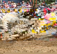 Jindabyne's Man From Snowy River Rodeo - Goulburn Accommodation