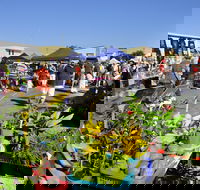 Maclean Community Monthly Markets - Goulburn Accommodation