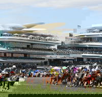 Melbourne Cup Carnival - Goulburn Accommodation
