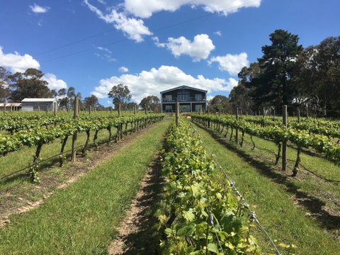 Mortimer's Diploma Of Taste - Goulburn Accommodation 0