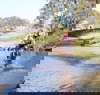 Mountain Man Tri Challenge - Goulburn Accommodation