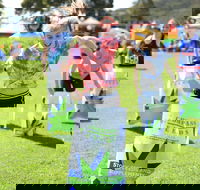 Mt Compass Farmerama - Goulburn Accommodation