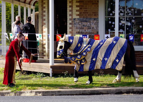 Newbridge Winter Solstice Festival - Goulburn Accommodation 2