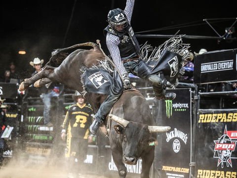 PBR Hawkesbury Stampede - Goulburn Accommodation 0