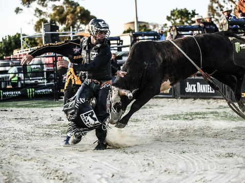 PBR Hawkesbury Stampede - Goulburn Accommodation 2