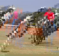 Pride of the West Races 2020 - Goulburn Accommodation