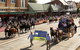 Scone Horse Festival - thumb 0