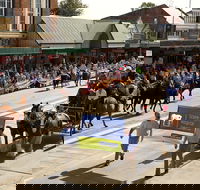 Scone Horse Festival - Goulburn Accommodation