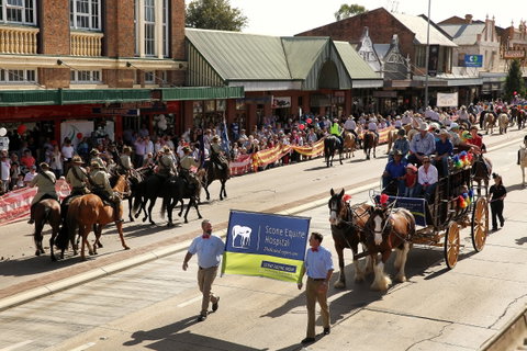 Scone Horse Festival - Goulburn Accommodation 0
