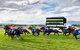 Scone Horse Festival - thumb 2
