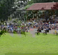 Tumut Derby Day - Goulburn Accommodation