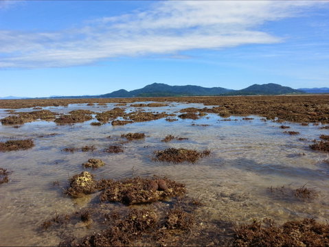 Walk To The Reef - Goulburn Accommodation 0