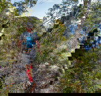 Wild Earth Coastal High 50 - Goulburn Accommodation