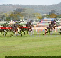 Aggies Race Day - Goulburn Accommodation