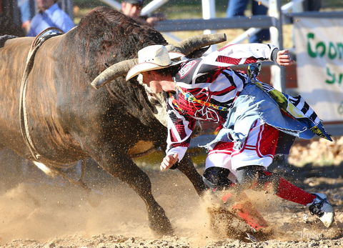 AgriWest Cooma Rodeo - Goulburn Accommodation 2