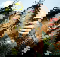 Albury Racing Club Boxing Day Races - Goulburn Accommodation