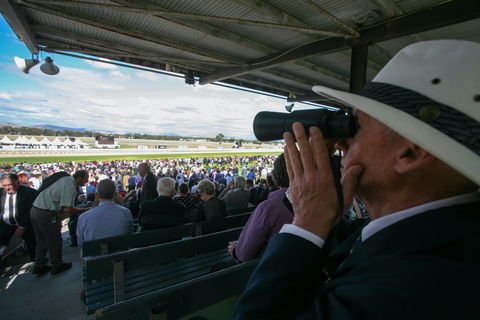 Albury Racing Club Boxing Day Races - Goulburn Accommodation 1