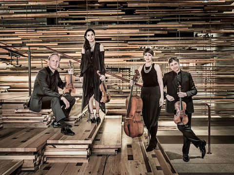 Australian String Quartet Plays Late Beethoven - Goulburn Accommodation 2