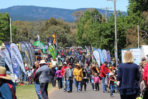 Australian National Field Days - Goulburn Accommodation 1