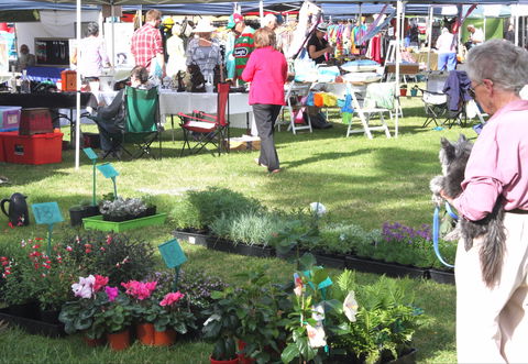 Batemans Bay Sunday Market - Goulburn Accommodation 2