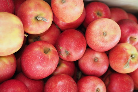 Blayney Farmers' Market - Goulburn Accommodation 1