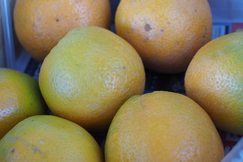 Blayney Farmers' Market - Goulburn Accommodation 2