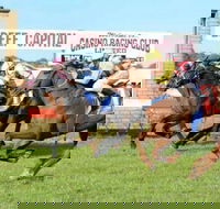 Casino Cup - Goulburn Accommodation