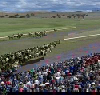 Cooma Sundowners Cup - Goulburn Accommodation