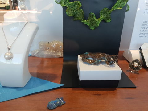 Cuttlefish Art Trail - Cuttlefest 2020 - Goulburn Accommodation 1