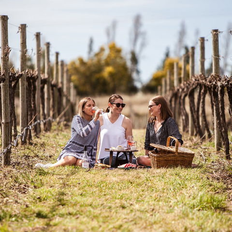 Family Picnic Weekend - Goulburn Accommodation 0