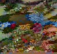 Glenrock Gardens Open Garden - Goulburn Accommodation