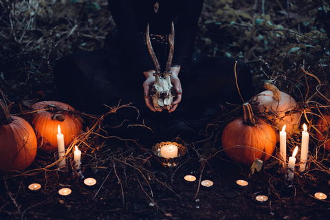 Hallows' Eve - Goulburn Accommodation 5