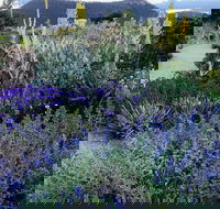 Highfield Gardens - Goulburn Accommodation