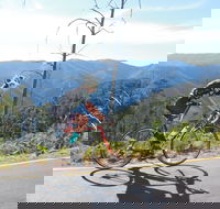 High Country Women's Cycling Festival - Goulburn Accommodation