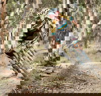 Jetblack 24 Hour - Goulburn Accommodation